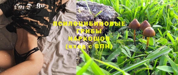 дживик Киреевск