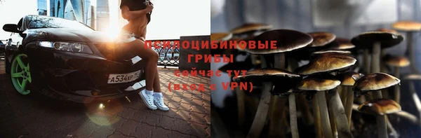 дживик Киреевск