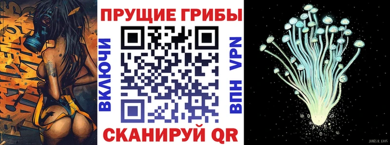 Галлюциногенные грибы GOLDEN TEACHER  Купить  Усть-Джегута 