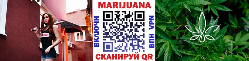 Купить закладки  Усть-Джегута  Шишки марихуана сатива 